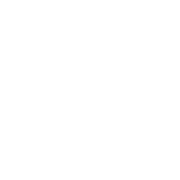 Local Councils' Association